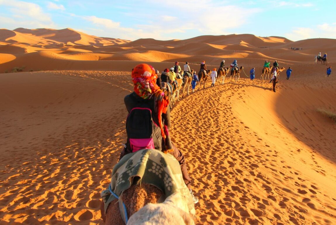 Camel Trekking in the Sahara