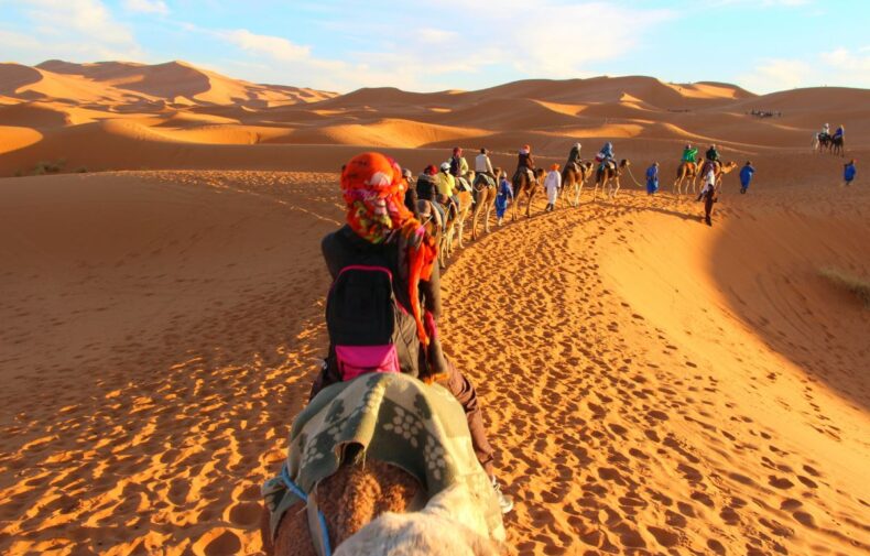 Camel Trekking in the Sahara