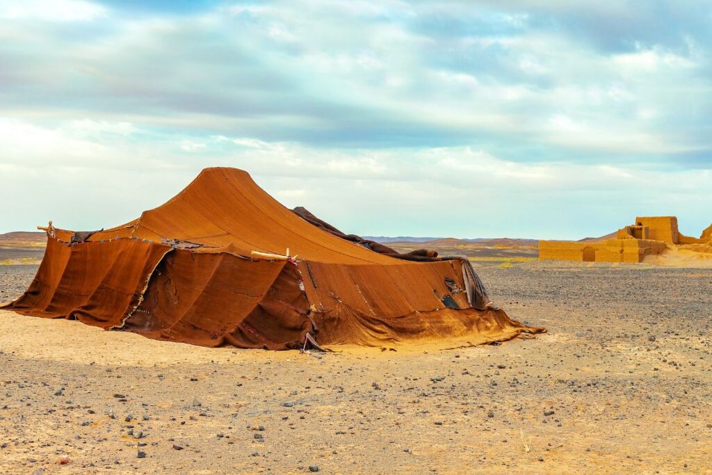 Desert Wildlife and Culture