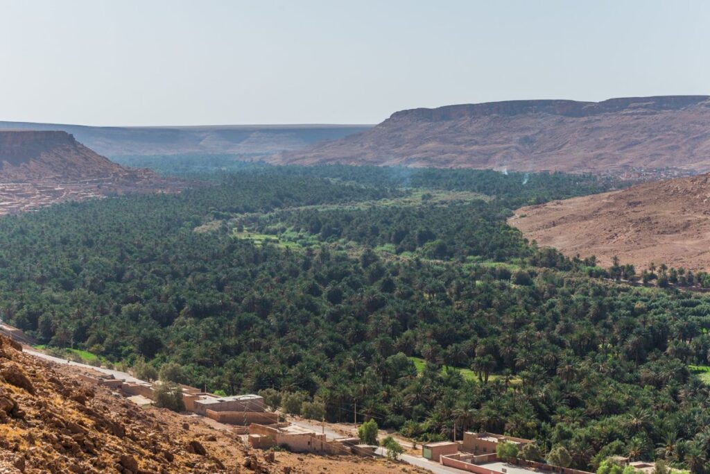 Ziz Valley Road